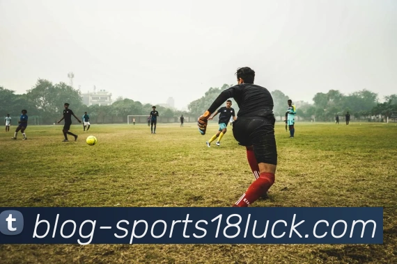 18新利体育发展历程